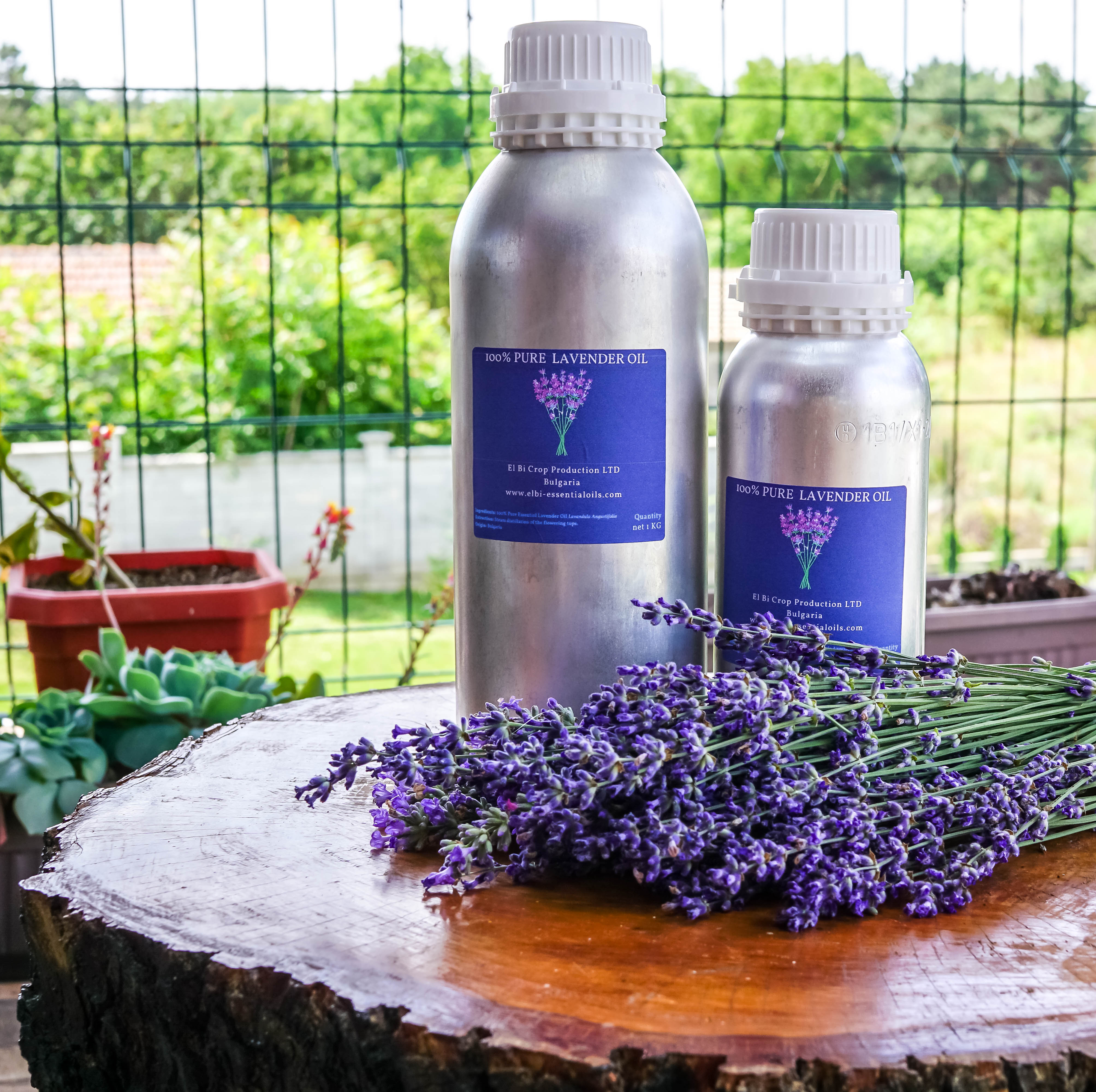 Bulgarian Lavender Essential Oil 1kg (1200 ml) — LavenderOil